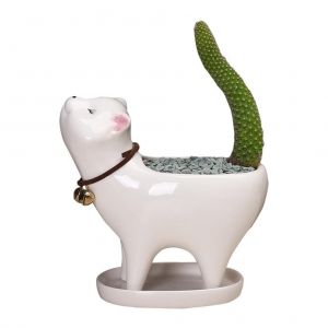 Pots succulents en c&eacute;ramique pour chaton, avec trou de vidange, Mini Pots pour plantes, Cactus, conteneurs pour d&eacute;coration de maison et de bureau - Neuf