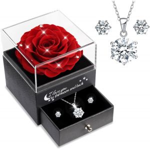 Rose Eternelle avec Bijoux Argent 925, Coffret Cadeau Femme, Collier et Boucles d'oreilles,Cadeau Anniversaire Femme,Vraie Rose Pr&eacute;serv&eacute;e avec Collier, Cadeau Fete des Meres,Coffret Cadeau Maman - Neuf