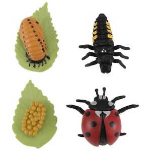 Cycle de vie Figurines de papillon araignée abeille coccinelle libellule,jouet - Neuf