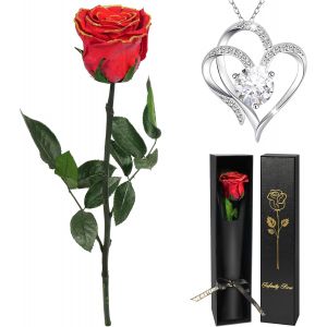 Rose Eternelle avec Collier Cadeau Femme Noel,Vraie Rose avec Tige Cadeau Maman Noel, Fleur Pr&eacute;serv&eacute;e en Coffret Cadeau Anniversaire Femme Fleur Eternelle Noel Cadeau Saint-Valentin Femme - Neuf
