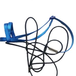 Perroquet Oiseau Harnais Laisse En Plein Air Volant Traction Sangles Band,Bleu L - Neuf