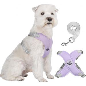 Eryi-Harnais Chien Anti Traction Réglable Réfléchissant Harnais Pour Chien Avec Laisse Durable Gilet Rembourrée En Mesh Doux Pour Petits Moyens Chiens Chats - Neuf