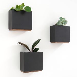 NouvelHorizonstore-Jardini&egrave;res Murales -Alma- | 3 Pots de Fleurs Suspendus Modernes en R&eacute;sine | Ensemble de Porte-Plantes pour Plantes d'int&eacute;rieur, Plantes artificielles et Plus | Noir - Neuf