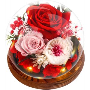 Rose Eternelle Cadeau Noel Femme Fleur &Eacute;ternelle - Rose sous Cloche,Naturelle Fleur avec Lumi&egrave;re LED Pine Base et Carte de Voeux, Copine et Maman Mamie - F&ecirc;te des M&egrave;res Anniversaire, Merci Cadeaux - Neuf