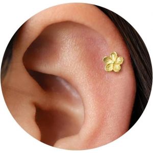 Meimie-1 Paire 18g Boucles D'oreilles Petite Fleur En Or Inox Avec Plaquage 14 Carats,Clous D'oreilles Délicats,Petit Clou De Nez,Cartilage,Tragus,Hélix,Bijoux De Piercing Conch - Neuf