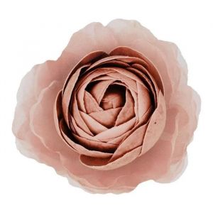 Fiore Malva Medio Per Diffusore Di Fragranza Mami Milano 200ml Profumo - Neuf