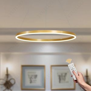 Subzonal-Lustre Led Moderne Diy Cercle | 1 Or Anneaux :40cm=23w | &Eacute;clairage Suspendu Led M&eacute;tal+Acrylique T&eacute;l&eacute;commande Intensit&eacute; Variable 2,8g Lampe Suspendue Plafond Ronde Salon Chambre Coucher - Neuf