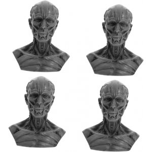 4 pièces Croquis Statue Corps Sculpture Artisanat avec Tête de Crane Biologie Anatomie Sculpture - Neuf