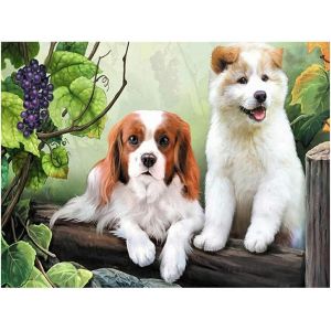 Oayew-Kit De Peinture Diamant 5d &Agrave; Faire Soi-M&ecirc;me Grand Chien 50x40cm Pierres Carr&eacute;es Carre Num&eacute;ro De Kit De Broderie Diamant Broderie Par Num&eacute;ro Kit Diamond Painting Pour Enfant D&eacute;coration Artistiqu - Neuf