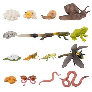 17pcs Cycle de vie de Grenouille Escargot Ver de Terre Libellule, Oeuf T&ecirc;tard &Agrave; Grenouille Safariologie Amphibien Figuri - Neuf