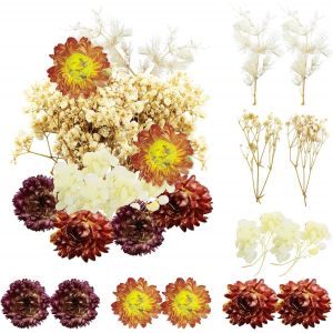 Fleurs S&eacute;ch&eacute;es,Fleur Sechees Naturel Fleur Sechees Decoration Fleurs S&eacute;ch&eacute;es Resine Epoxy Fleurs S&eacute;ch&eacute;es pour Scrapbooking Bougie Bricolage Fabrication de Cartes Art Maquillage D&eacute;coration - Neuf