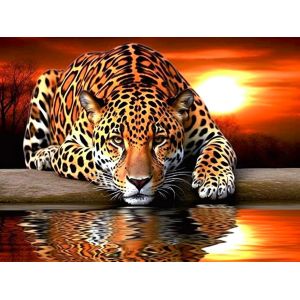 Oayew-5d Diamond Painting Diy Kits L&eacute;opard Et Tigre, Animal Coucher De Soleil Broderie Diamant Kits De Broderie Au Point De Croix Strass Rond R&eacute;sine Peinture D&eacute;cor &Agrave; La Maison 30x40 Cm - Neuf