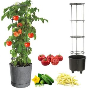 Pot &Agrave; L&eacute;gumes Vigne Tomate Concombre Haricot &Oslash;40 Cm Gris Fonc&eacute; - Neuf
