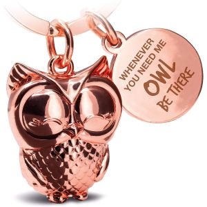 KAL-Porte-Cl&eacute;s Hibou Avec Gravure U2013 Joli Porte-Cl&eacute;s Chouette U2013 Amiti&eacute; Et Amour Porte-Bonheur En M&eacute;tal Pour Femme U2013 Owl Be There For You - Neuf