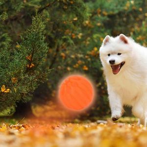 Hjlian Balle De Jeu Etanche Pour Animaux De Compagnie, Jouet Interactif A Macher Et A Mordre, Dents Lumineuses, Pour Chiot, Orange - Neuf