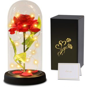 Rose Eternelle sous Cloche, Noel Cadeau pour Femmes avec LED, Fleur Eternelle sous Cloche, Cadeau pour Femme Maman M&egrave;re Grand-m&egrave;re, Rose Enchant&eacute;e Idee Cadeaux pour Anniversaire,Mariage, No&euml;l - Neuf