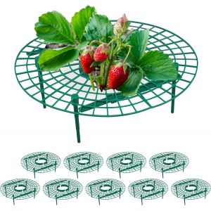 LETNERNY-Support Pour Fra s, Lot De 10, Protection Contre Pourriture, Limaces, Pour Fraisier, Plastique, Vert - Neuf