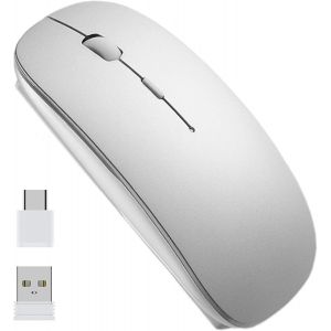 KALANKA-Souris sans Fil Rechargeable, Mini Souris Optique Click Wireless Mouse, USB Nano-Récepteur, Ultra Mince 1600 DPI, avec USB câble, pour PC/Tablet/Laptop(Argent) - Neuf
