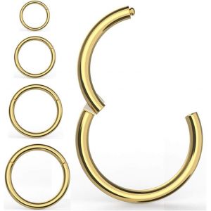 Kalhx-4 Pièces Anneaux De Nez Boucles D'oreilles,Acier Chirurgical 316l Articulé Cliqueur Segment Septum Anneau Hélice Cartilage Nez Lèvres Anneaux Piercing Bijoux,Boucles D'oreilles 18g-16g Tour - Neuf