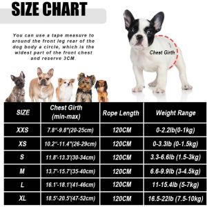 Harnais Et Laisse Pour Chiens, Ensemble Harnais Rembourr&eacute; En Mesh Doux Pour Chiots Et Chats, Veste Respirant R&eacute;glable R&eacute;fl&eacute;chissant Int&eacute;rieur Pour Marcher, Courir, Formation - Neuf