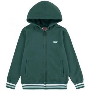 Sweat À Capuche - Levi's - 9el158-B84 - Vert - 14 Ans - Manches Longues - Neuf