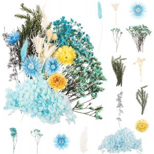 Bouquet de Fleurs Séchées Naturelles Vraies Fleurs Pressées Décoration pour Bricolage Résine Epoxy Bijoux Floraux Nail Art DIY Bougie Fabrication Artisanale Scrapbooking(Bleu) - Neuf