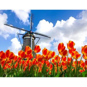 Eryi-50 X 40 Cm Diamond Painting Fleurs Tulipes Diamond Painting Paysage Moulin À Vent Diamant Peinture Photos Fleurs Mosaïque Di[6919] - Neuf