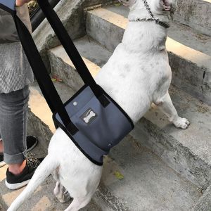 Hjlian Harnais De Soutien Pour Animaux De Compagnie, Sangle Auxiliaire Avec Poignee Rembourree Pour Les Blessures Des Vieux Chiens (Bleu L) - Neuf