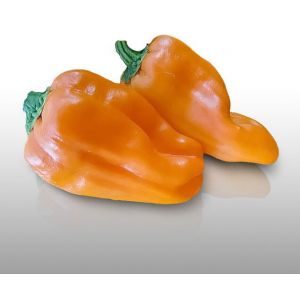 50 Graines &Agrave; Semer - Le Grenier D'abondance - Poivron Petit Marseillais - Capsicum Annuum - Neuf