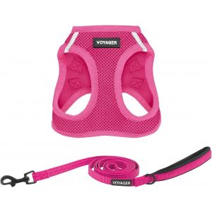 Voyager Step-In Air U2013 Harnais En Maille Toutes Saisons Et Laisse R&eacute;fl&eacute;chissante De 1,5 M Avec Poign&eacute;e En N&eacute;opr&egrave;ne, Pour Chiots De Petite, Moyenne Et Grande Taille (Fuchsia), Taille S - Neuf