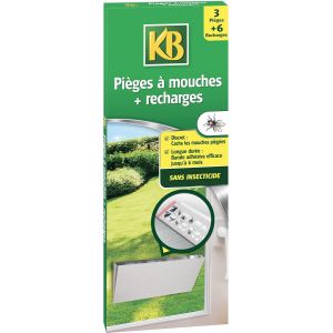 Pièges à Mouches et Recharges Sans Insecticide - Moustique, moucherons, insectes - Efficace 6 mois - Contient 3 pièges + 6 recharges -Piège collant inodore et discret -Simple d'utilisation - Neuf