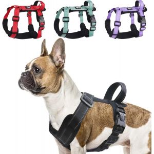 Kalanka-Harnais Pour Chien Moyen, Harnais Chien En Y, R&eacute;fl&eacute;chissant Harnais Animalin Avec Poign&eacute;e Rembourr&eacute;e, Harnais Chien Personnalis&eacute;, Harnais Bouledogue Fran&ccedil;ai, Noir, L - Neuf