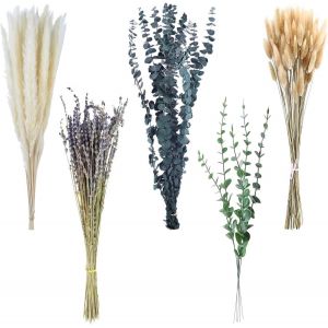100 Pcs Fleurs S&eacute;ch&eacute;es Bouquet,Herbe de la Pampa Pampas S&eacute;ch&eacute;es D&eacute;coration Fleur Sechees Naturel Decoration de Bouquet de Fleurs S&eacute;ch&eacute;es Travaux Manuels pour Boho Arrangements,Mariage,Anniversaire - Neuf