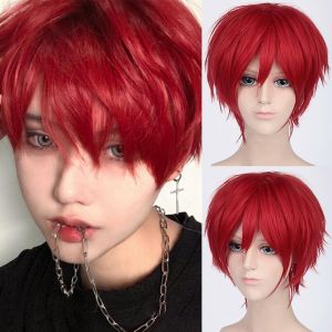 Bnhgc-Unisexe Perruque Courte Bob Anime Cosplay Perruques, Cheveux Lisses Naturels Moelleux Pour Costume De Fête Déguisement Pour Femmes Hommes Garçons Filles (Rouge) - Neuf