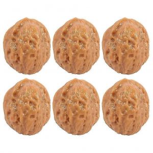 6pcs haute simulation noyer mod&egrave;les faire semblant jouer nourriture jouets faux noyer mod&egrave;les ornements - Neuf