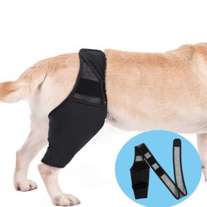 Genouill&egrave;re Pour Chien,Attelle De Soutien De Jambe,Attelles De Jambe Arri&egrave;re R&eacute;glables Pour Chiens Bless&eacute;s Pour Une D&eacute;chirure Du Lca Et Du Lcc Meilleure R&eacute;cup&eacute;ration - Neuf