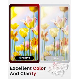 Tn2420 Tn2410 Cartouche De Toner Noir Compatible Avec Brother Hl-L2350Dw Hl-L2310D Mfc-L2710Dw Mfc-L2710Dn Mfc-L2750Dw Mfc-L2730Dw Dcp-L2510D Dcp-L2530Dw Hl-L2375Dw (2 Noirs) - Neuf