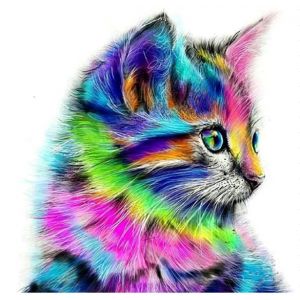 Kit De Broderie De Diamants 5d One Piece (Chat Coloré, 30 X 30 Cm), La Broderie De Diamants Do-It-Yourself, Point De Croix, De Strass, De La Décoration, Mur - Neuf
