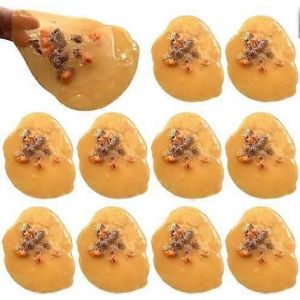 Farce Stuff,Halloween Faux Vomi,10PCS Souple &Eacute;lastique Caoutchouc Faux Vomir,3,9 pouces Jouet de farces dr&ocirc;les,R&eacute;utilisable Healloween D&eacute;cor pour Halloween Poisson d'avril - Neuf