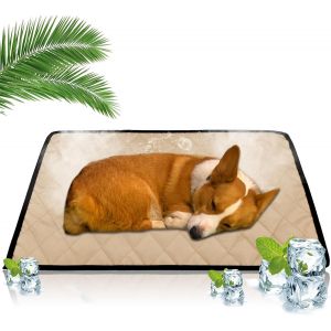 Tapis Rafraîchissant Pour Chien Et Chats,Tapis Refroidissement Animaux De Compagnie Tapis Réfrigérant Mat Tapis Fraicheur Lit Froid Non Toxique,Rester Au Frais Cet Été Intérieur,90x50cm.[X200] - Neuf
