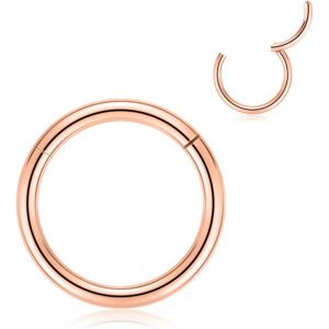 Tianyi-Anneaux De Nez À Charnière En Acier Chirurgical 316l 20g, 18g, 16g, 14g, 12g, 10g, 8g, 6g, 4g - Anneaux De Piercing Sans Couture Pour Nez, Septum, Cartilage, Hélix, Tragus, Conque, Rook, Daith - Neuf