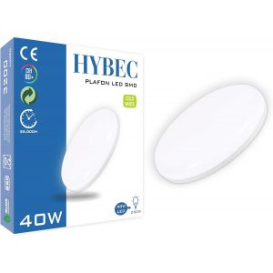 Eryi-- Plafonnier Led, Plafonnier Salle De Bain, Plafonnier Salon, Plafonnier Cuisine, Plafonnier Led Chambre, Plafonnier Led Blanc Froid, Plafonnier Rond, Blanc Froid 6000kº 40w (Pack 1) - Neuf