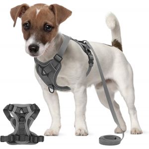 Eryi-Harnais Pour Chiens Petite Moyen Grand Taille, Harnais Animaux Réfléchissant Avec 1,5m Laisse, Pet Harness Anti Traction, Gilet Harnais Chat Réglable Respirant Pour Marcher Courir (L) - Neuf