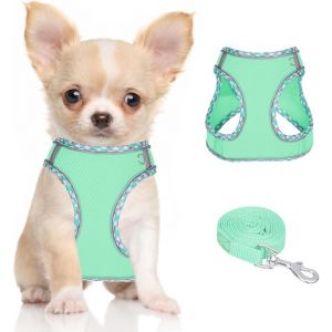 Eryi-Harnais Pour Chiens De Petite Taille Et De Taille Moyenne, Harnais Et Laisse Pour Chiots, Harnais En Maille Réfléchissante Et Respirante, Gilet Doux Et Rembourré Pour Chiens - Neuf