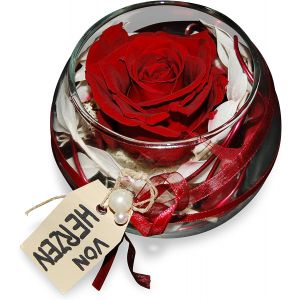 Rose pr&eacute;serv&eacute;e fabriqu&eacute;e &agrave; la main dans un verre &iquest; V&eacute;ritable rose &eacute;ternelle au moins 3 ans &iquest; D&eacute;coration &eacute;l&eacute;gante avec rose infini &iquest; Cadeau pour toutes les occasions (bordeaux) &iquest; Fabriqu&eacute; en Allemagne - Neuf