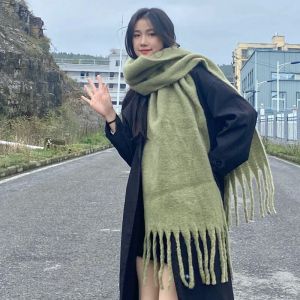 &Eacute;charpe Chaude Et Douce Pour Femmes, Longue Et &Eacute;paisse, Id&eacute;ale Pour L'hiver, Disponible En Vert Prairie Et Blanc Cr&egrave;me,Vert Herbe - Neuf