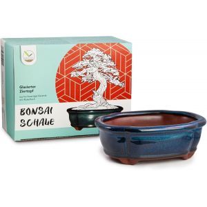 Eryi-Pot Pour Bonsai (Petit) En Céramique Bleu Marine - Pot Arrondis Pour Une Présentation Parfaite De Votre Bonsai D'intérieur - 15 X 5,5 X 11 Cm - Neuf