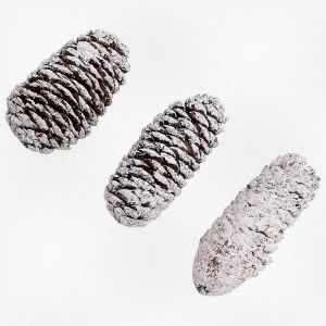 20 Morceaux Naturel de Grands C&ocirc;nes de Pin pour les D&eacute;corations de No&euml;l et des d&eacute;corations de no&euml;l - Neuf