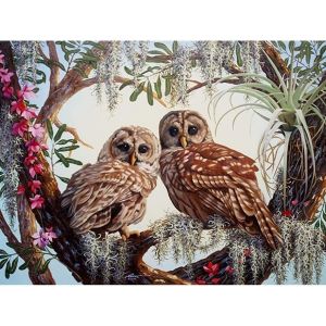 Ayuhr-Diamond Painting 5d Diy Diamant Peinture Chouette Bricolage Plein Forage Cristal Strass Peinture Broderie Point Décor À La Maison 30 * 40cm(F1-163) - Neuf