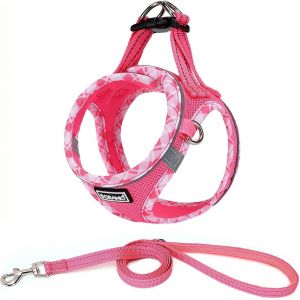 Harnais Chien, Step-In Harnais Pour Chiens Avec Laisse, R&eacute;fl&eacute;chissant Respirant Mesh Doux Confort R&eacute;glable Gilet Harnais Pour Petite Chiens Chats Pour Marcher Courir (Fuchsia, Xl) - Neuf